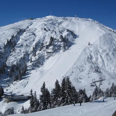 Daire Haus Wildebene