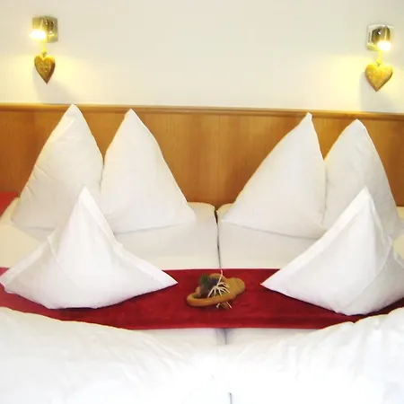 公寓 豪斯沃尔德宾酒店 *