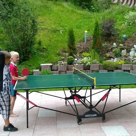 豪斯沃尔德宾酒店 * 圣安东阿尔贝格