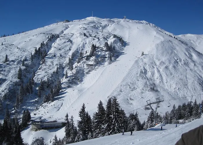 Apartment Haus Wildebene